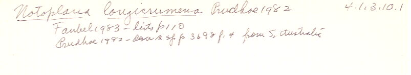 index card