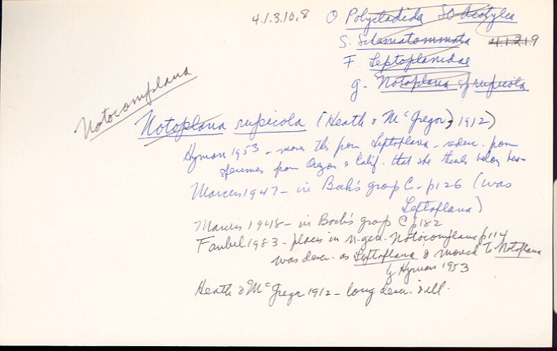 index card
