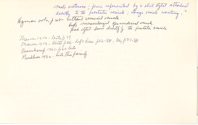 index card