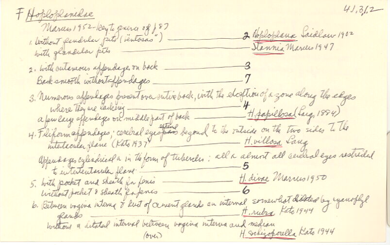 index card