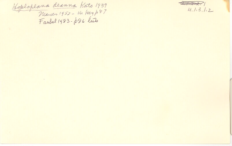 index card