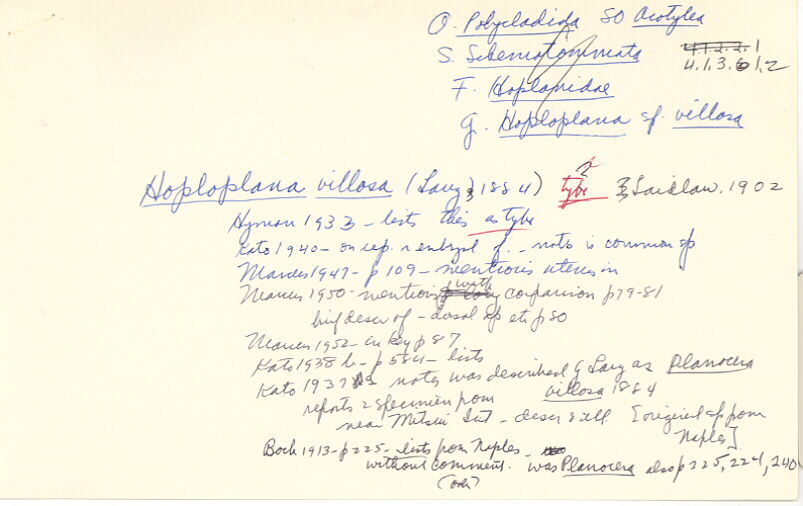 index card
