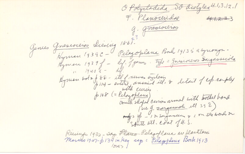 index card