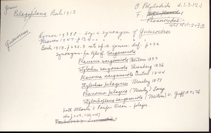 index card