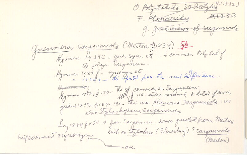 index card