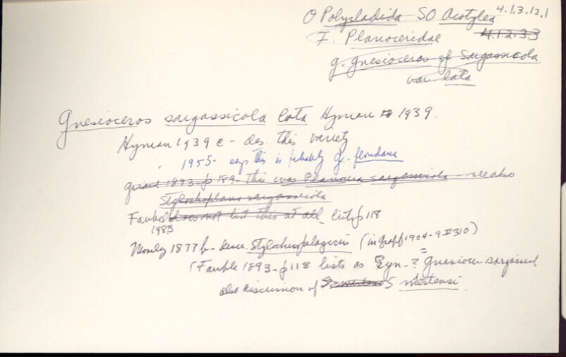 index card