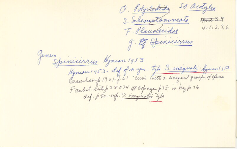 index card