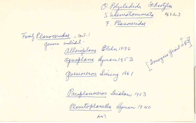 index card