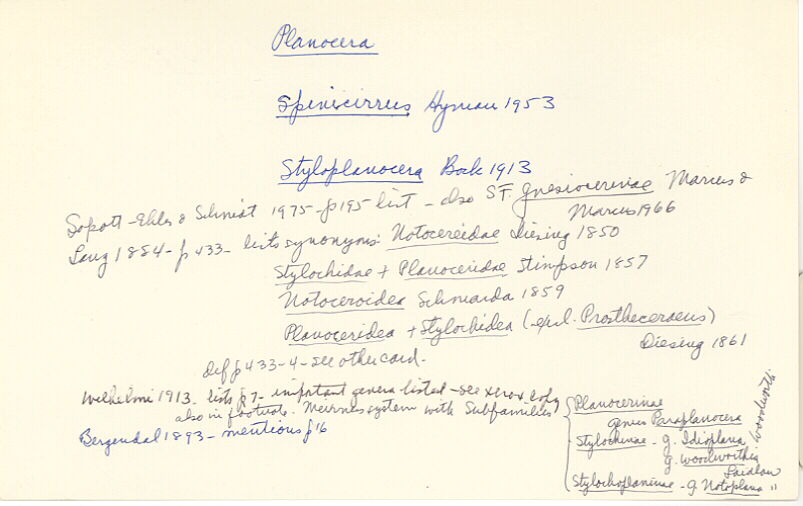 index card
