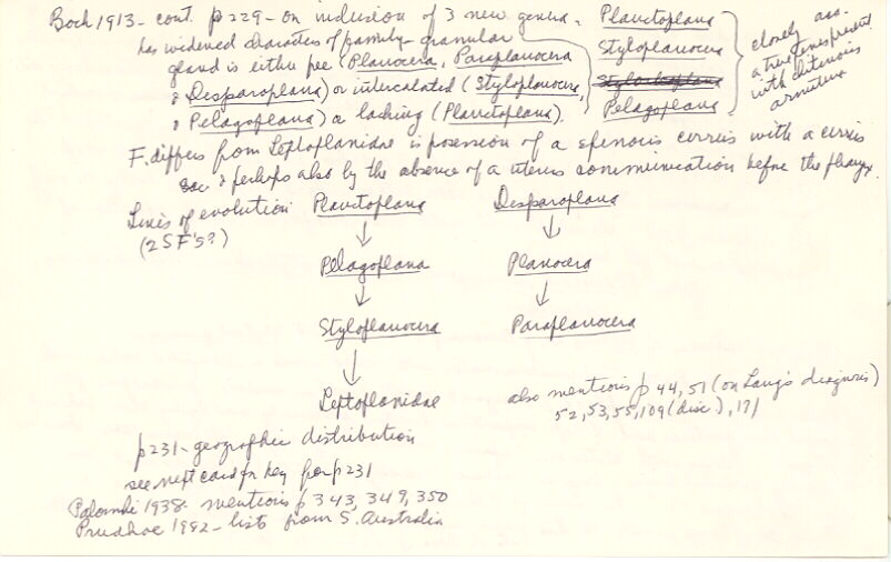 index card