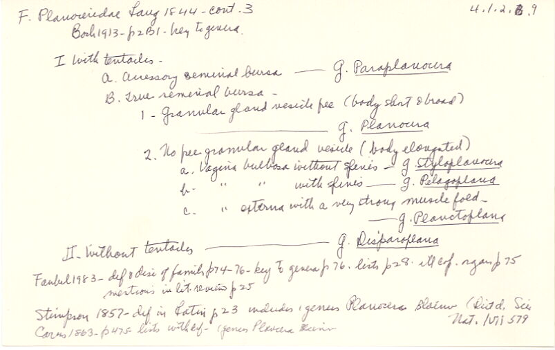 index card
