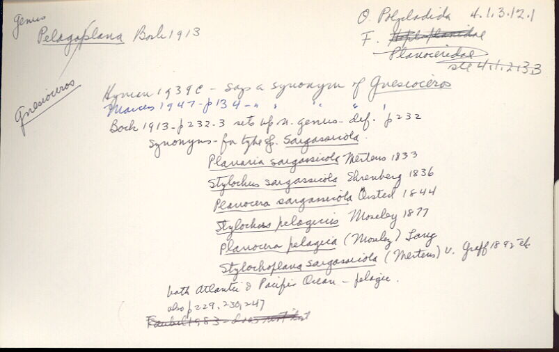 index card