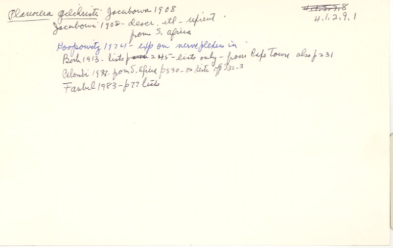 index card