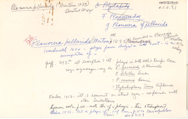 index card