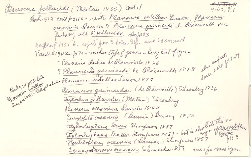 index card
