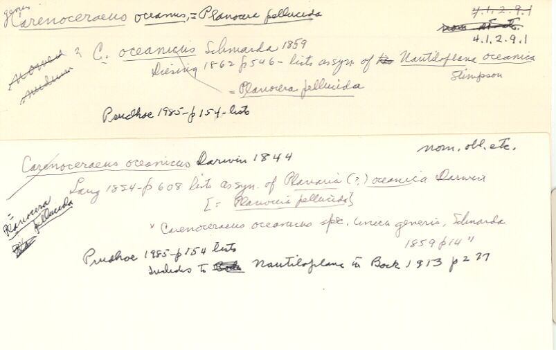index card