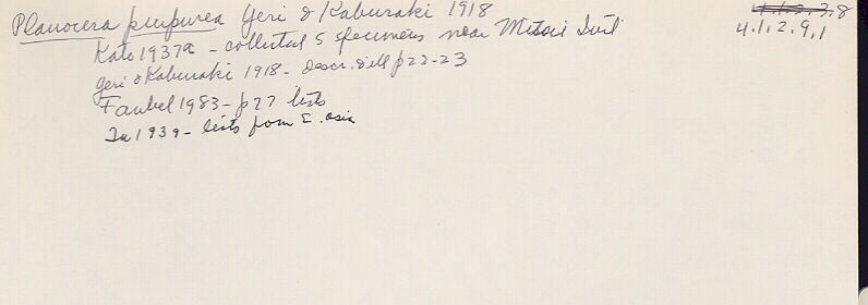 index card