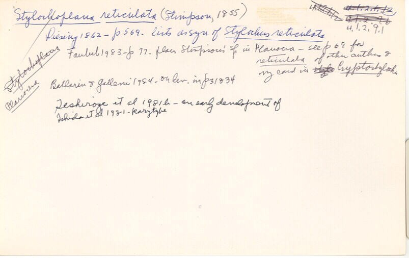 index card
