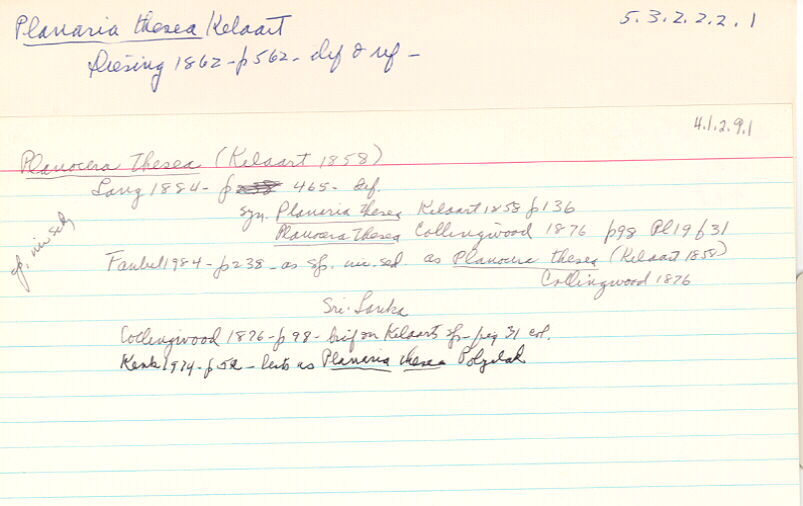 index card