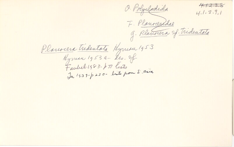 index card