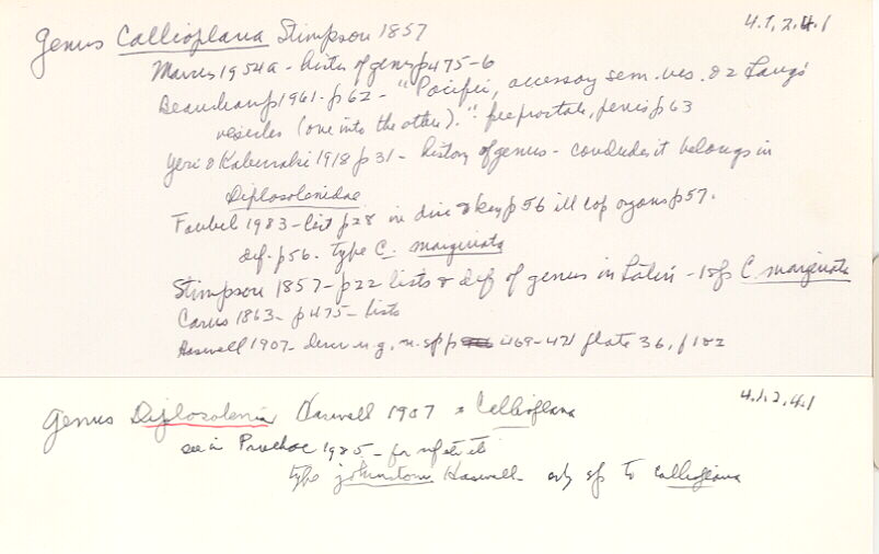index card