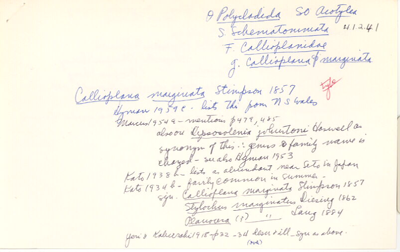 index card