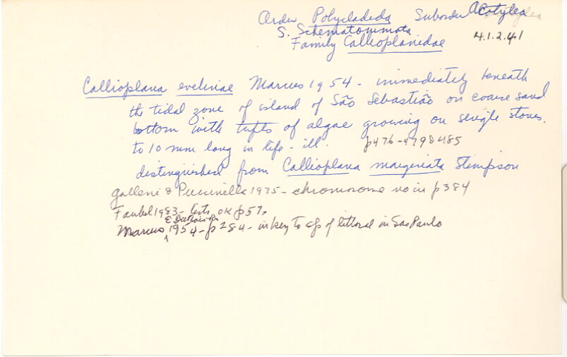 index card