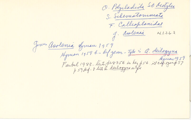 index card