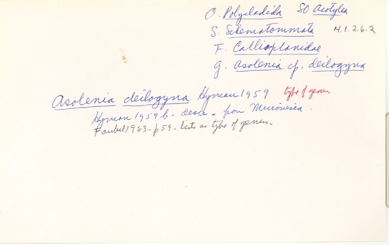 index card