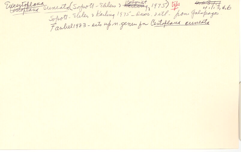 index card