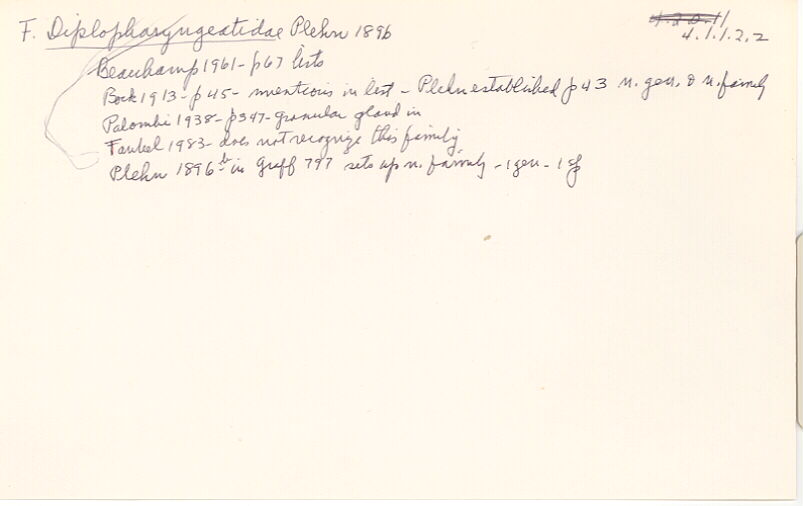 index card