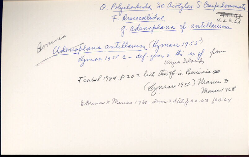 index card