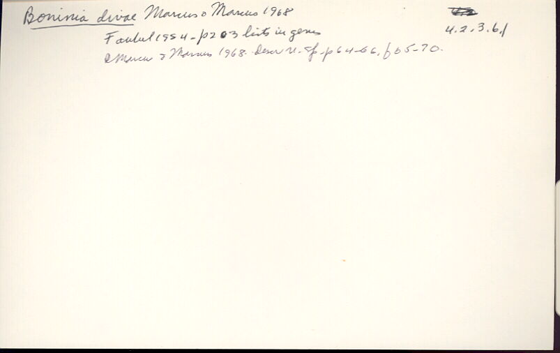 index card