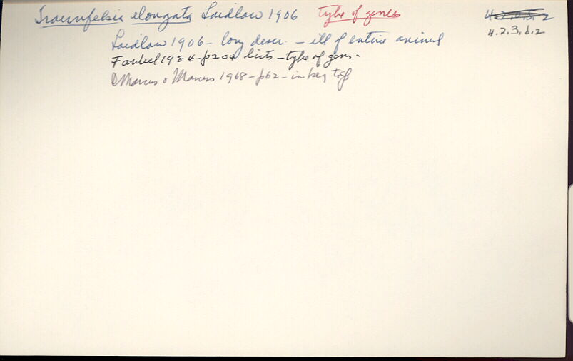 index card