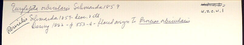 index card