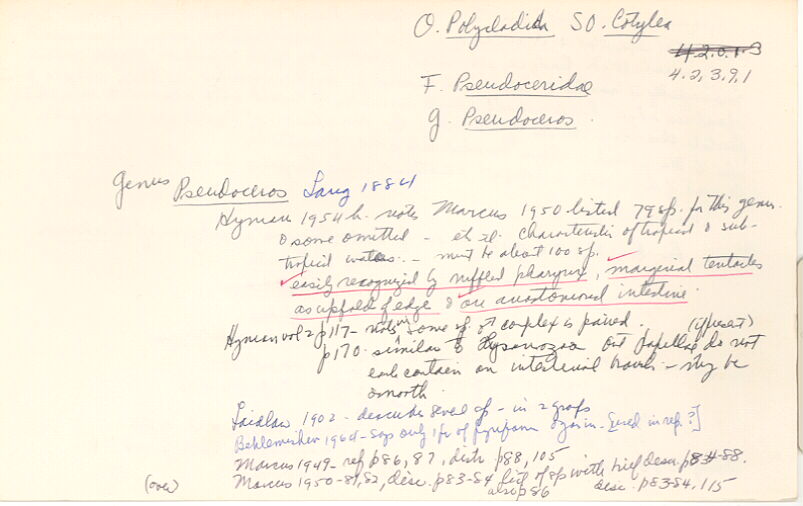 index card