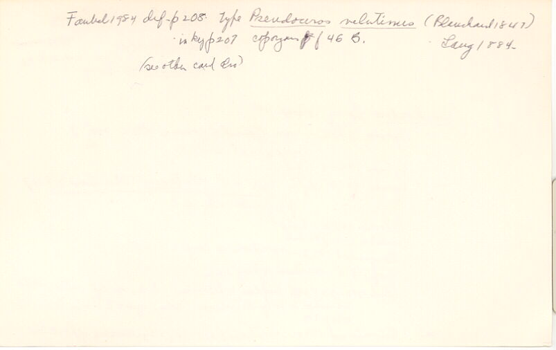 index card