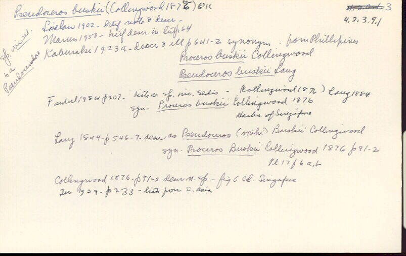 index card