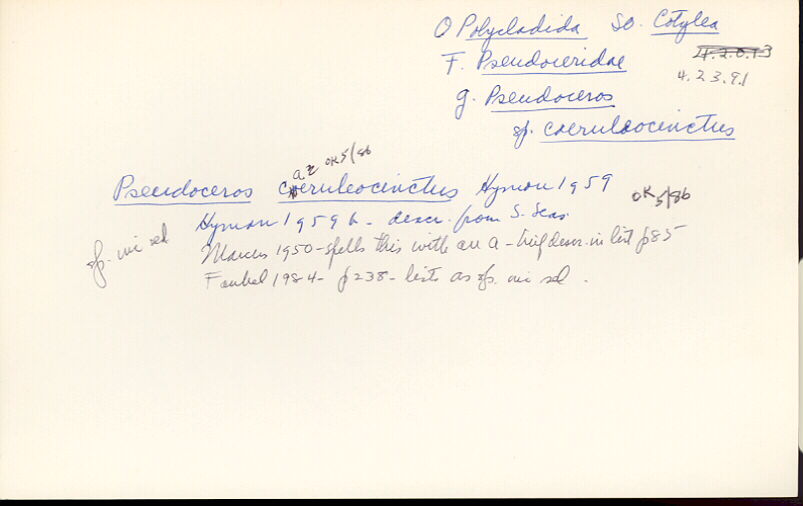 index card