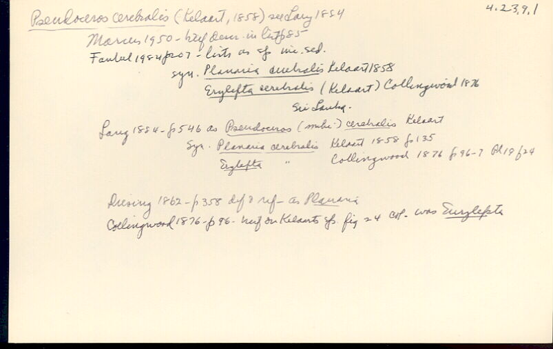 index card