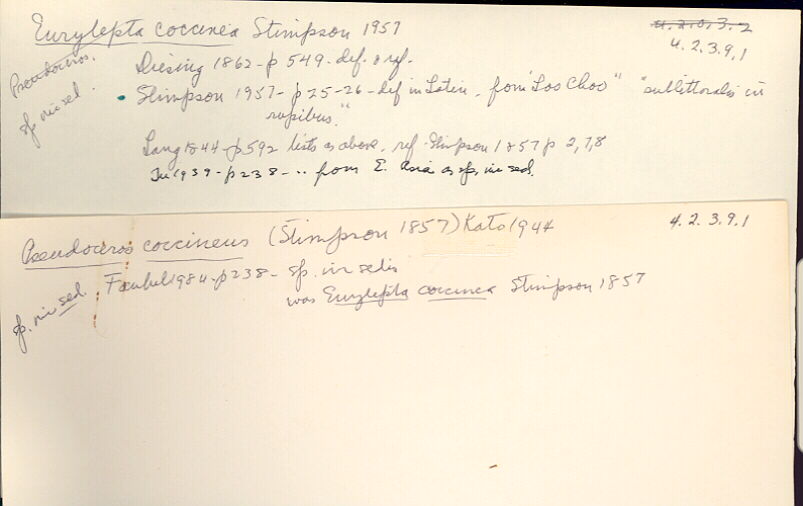 index card
