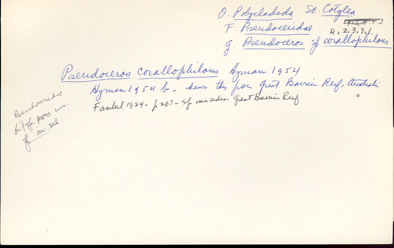 index card