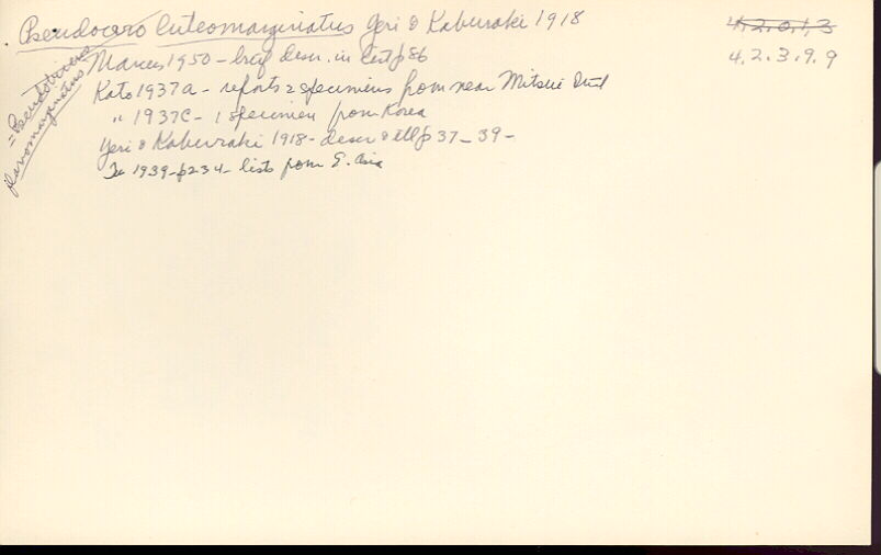 index card