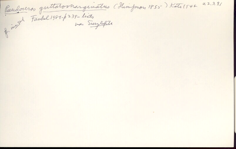 index card