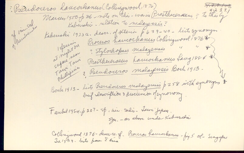 index card