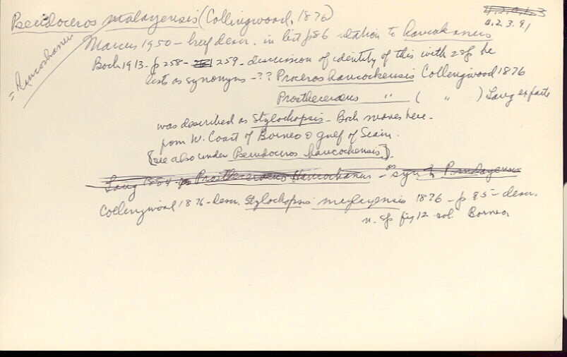 index card