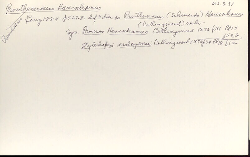 index card