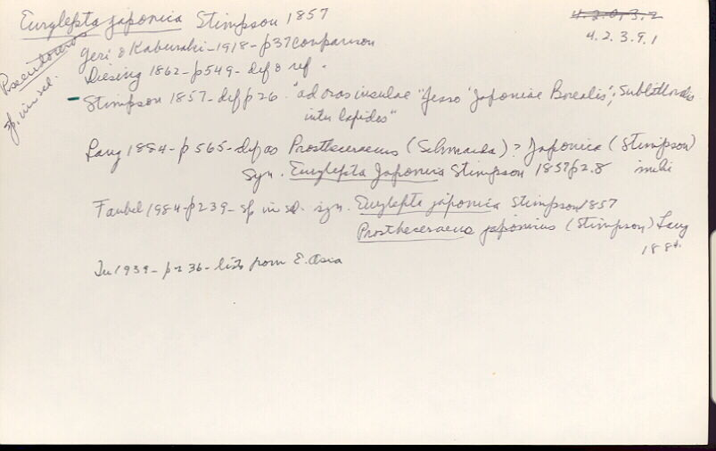 index card