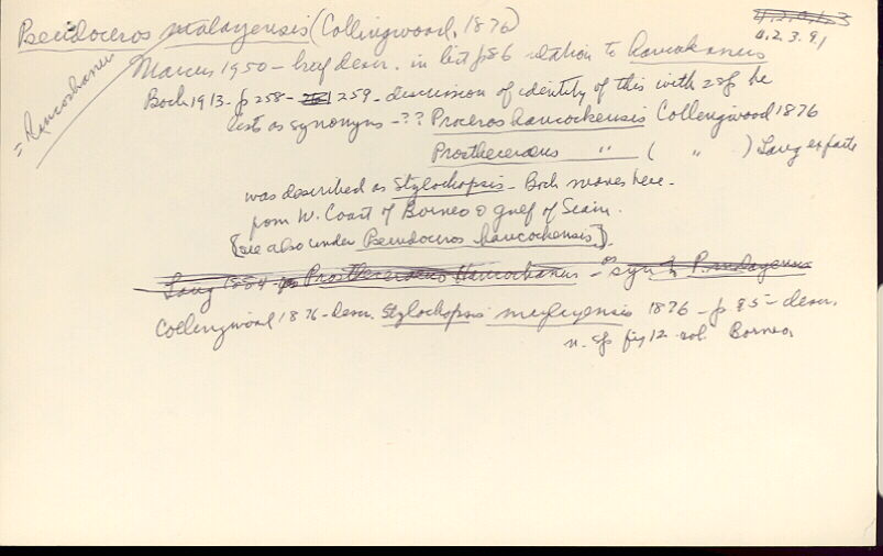 index card