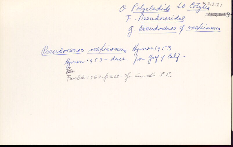 index card
